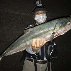 ナブラ天国　メジロ天国